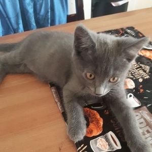 Meet your Posher, Vicki